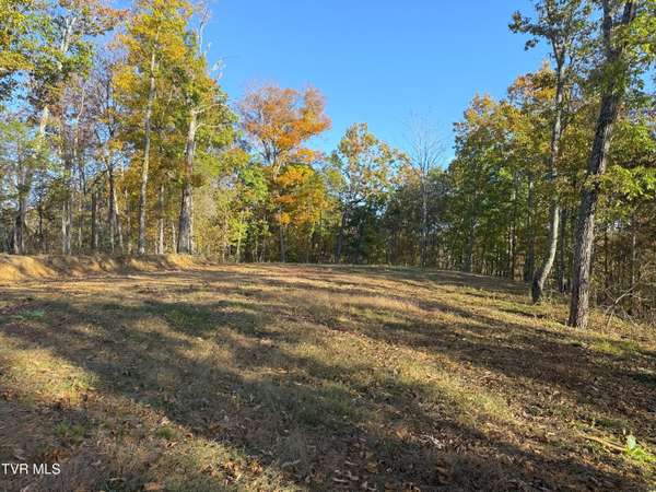 Parrottsville, TN 37843,Tract 9 Topaz WAY