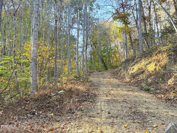 Parrottsville, TN 37843,Tract 9 Topaz WAY