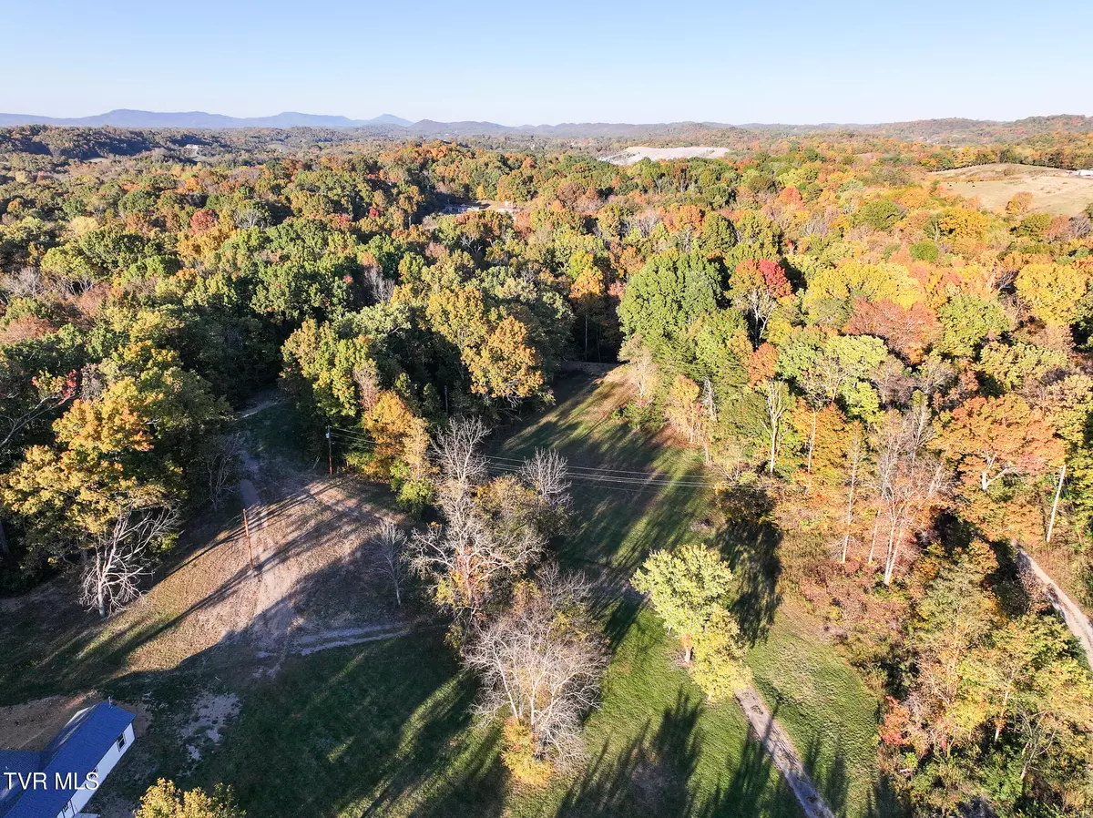 Greeneville, TN 37743,Lot 2 Peppermint LN