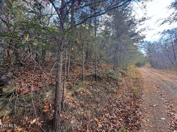 2.52 Acres Green Forest RD, Cosby, TN 37722