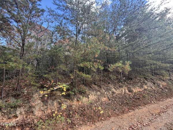 Cosby, TN 37722,2.52 Acres Green Forest RD