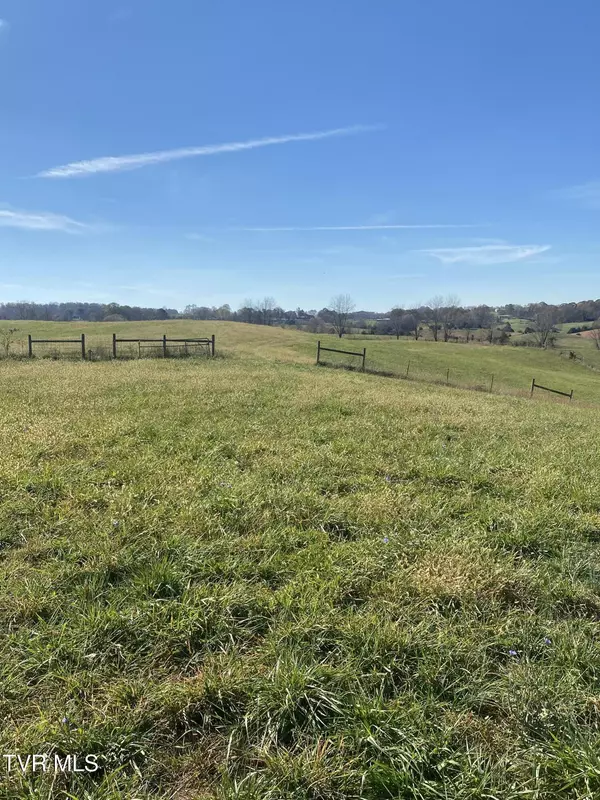 689 Painter RD, Fall Branch, TN 37656