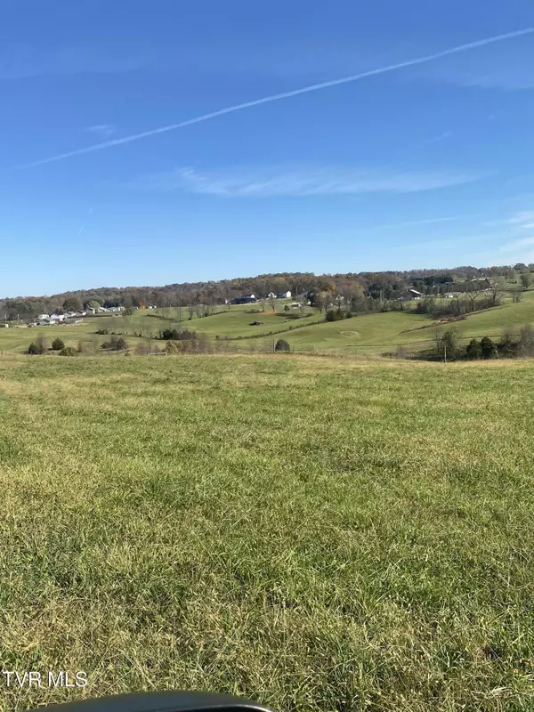 Fall Branch, TN 37656,689 Painter RD