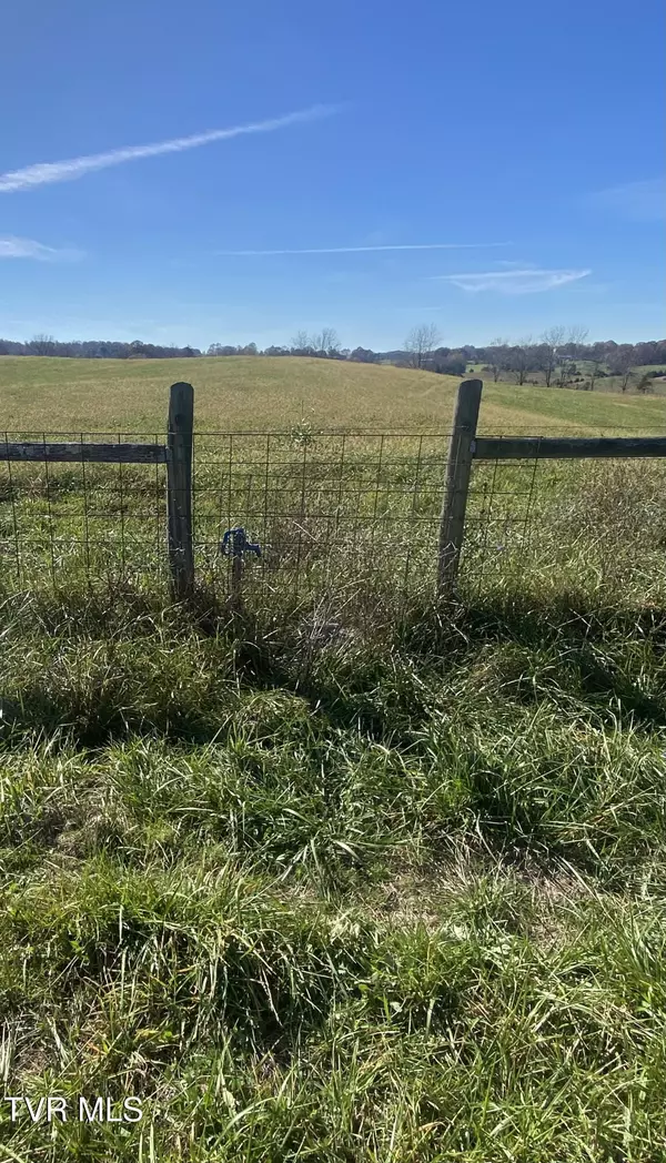 Fall Branch, TN 37656,689 Painter RD