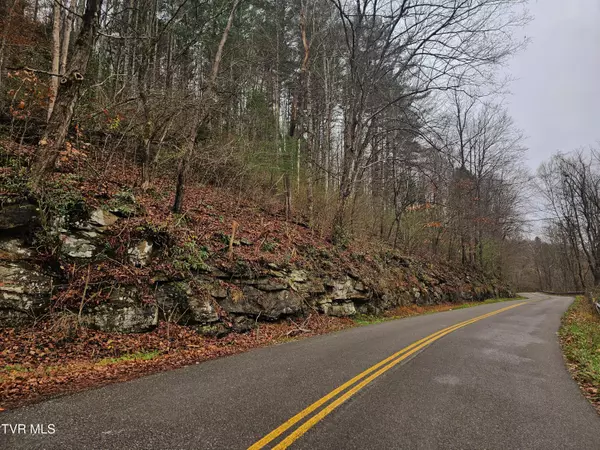 Pound, VA 24279,00 Bold Camp RD