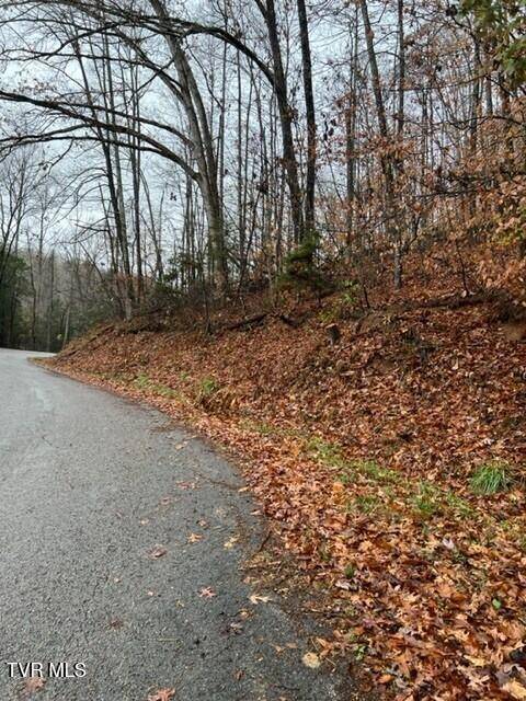 Tbd Big Hill RD,  Pennington Gap,  VA 24277