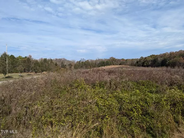 Greeneville, TN 37745,18.61 Acre Off Wesley Chapel RD