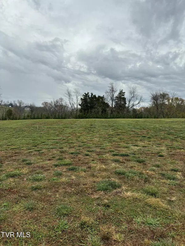 Piney Flats, TN 37686,Lot 4 Turkey Ridge LN