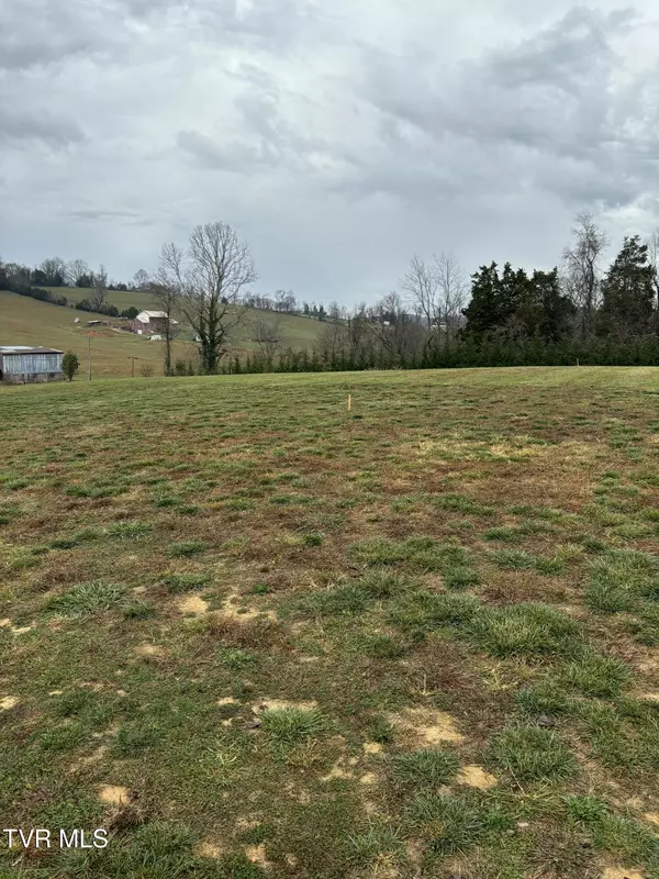 Piney Flats, TN 37686,Lot 4 Turkey Ridge LN