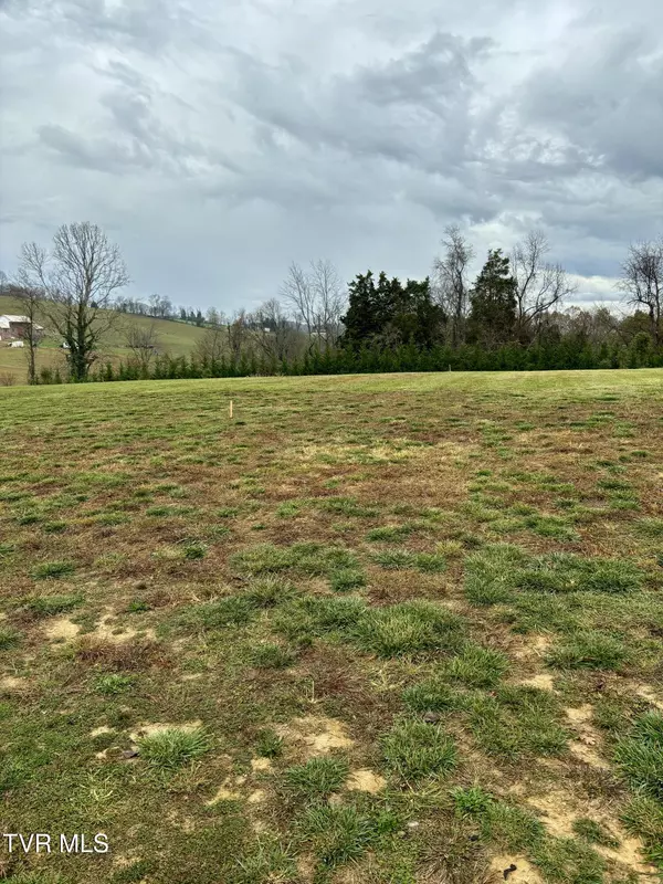 Piney Flats, TN 37686,Lot 4 Turkey Ridge LN