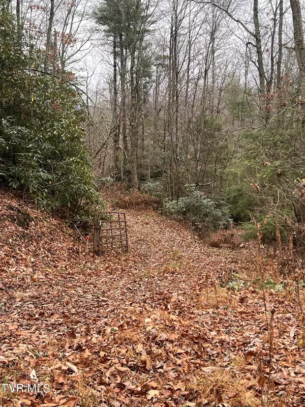 Roan Mountain, TN 37687,162 Murph Potter LN