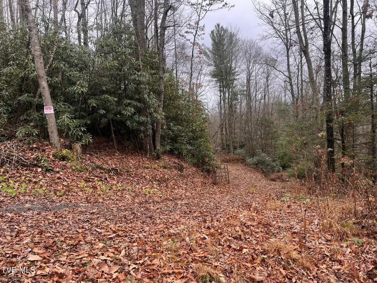 Roan Mountain, TN 37687,162 Murph Potter LN