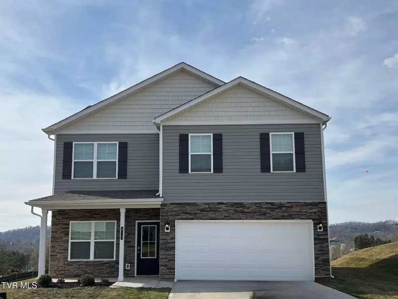913 O'Hara Court, Blountville, TN 37617