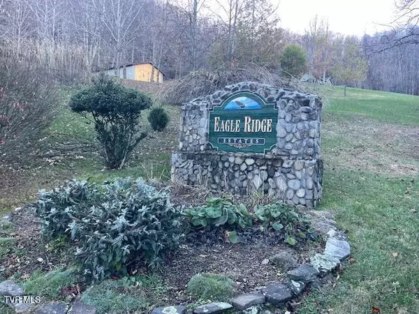 Roan Mountain, TN 37687,Lot 13 Eagle Ridge RD