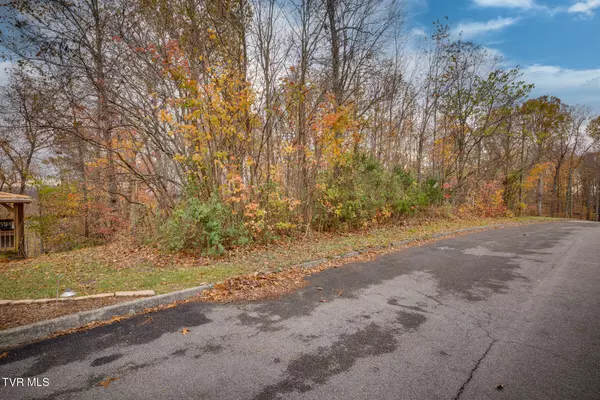 Kingsport, TN 37664,Tbd Woodview (Lot 18) CT