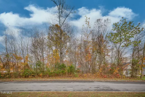 Kingsport, TN 37664,Tbd Woodview (Lot 18) CT