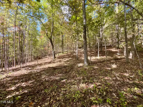 Surgoinsville, TN 37873,1393 Caney Valley LOOP