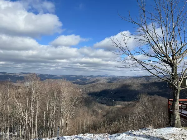 Roan Mountain, TN 37687,270 Roanwood RD