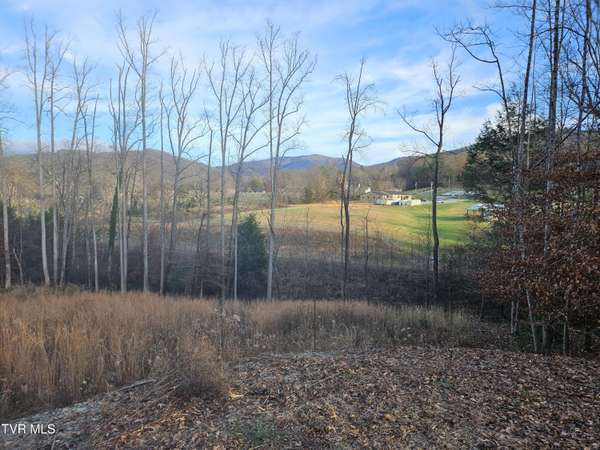 Erwin, TN 37650,000 Galax DR