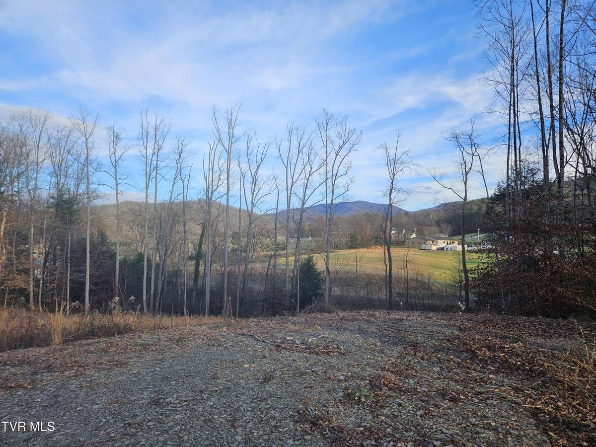 Erwin, TN 37650,000 Galax DR