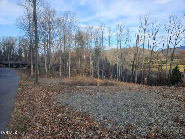 Erwin, TN 37650,000 Galax DR