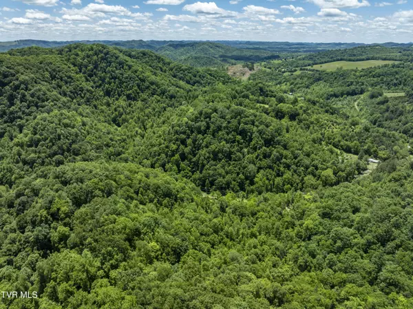 Fort Blackmore, VA 24250,Tbd Lick Creek DR