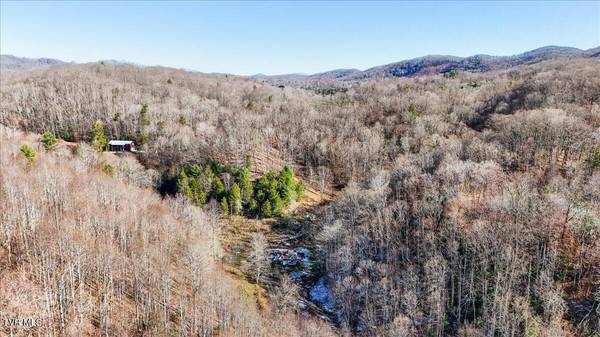 Roan Mountain, TN 37687,1255 Tiger Creek RD