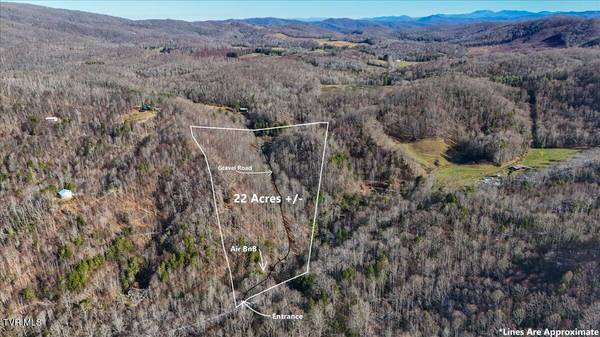 1255 Tiger Creek RD, Roan Mountain, TN 37687