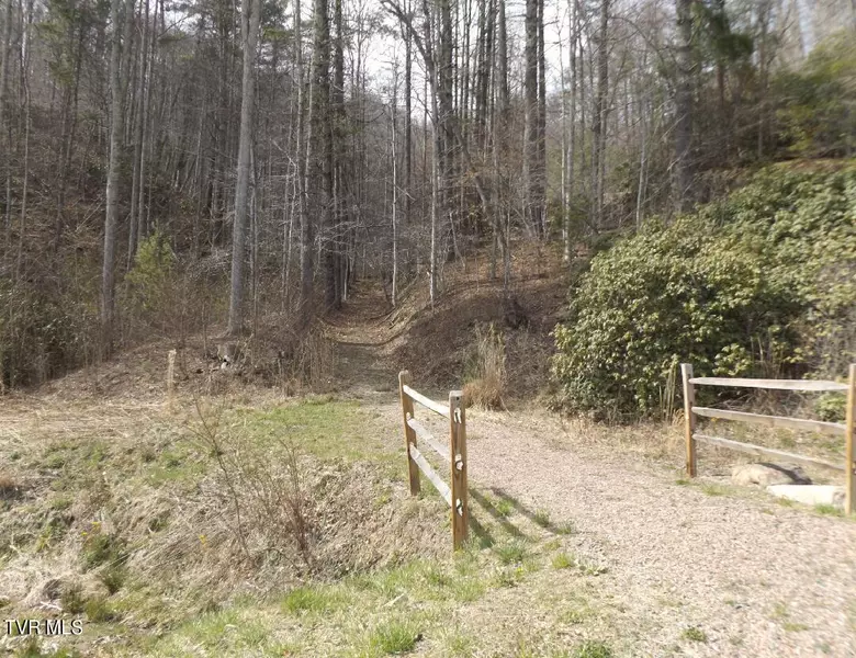 304 Honeymoon Lot 69 HOLW, Butler, TN 37640