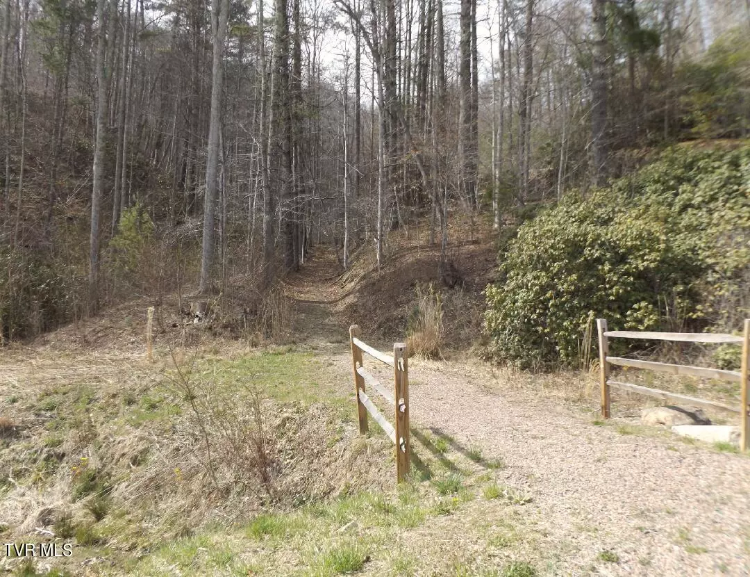 Butler, TN 37640,304 Honeymoon Lot 69 HOLW