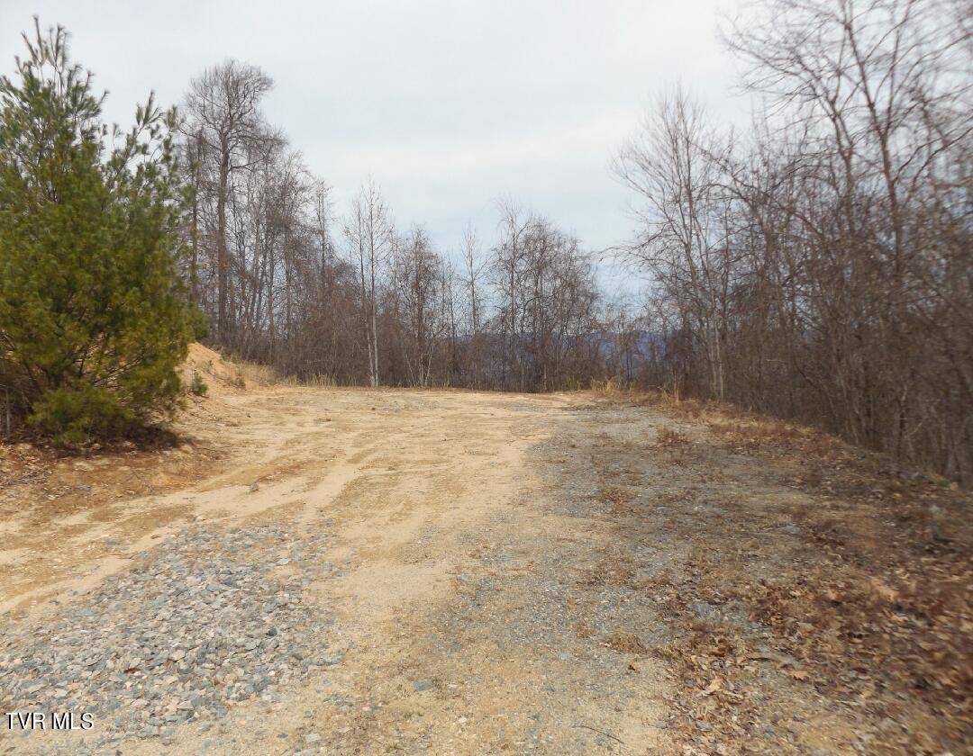 Butler, TN 37640,1012 Locust Lot 40 LN