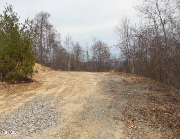 1012 Locust Lot 40 LN, Butler, TN 37640