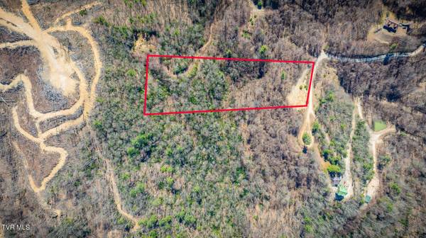 Butler, TN 37640,1012 Locust Lot 40 LN