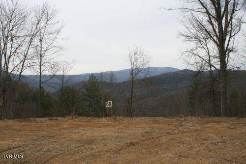 Butler, TN 37640,306 Honeymoon Lot 68 HOLW