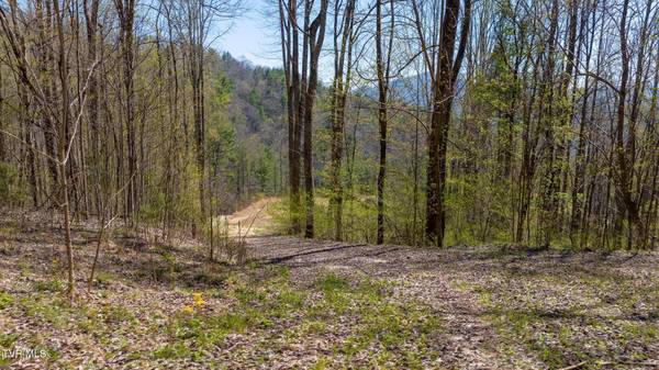 Butler, TN 37640,308 Honeymoon Lot 67 HOLW #67