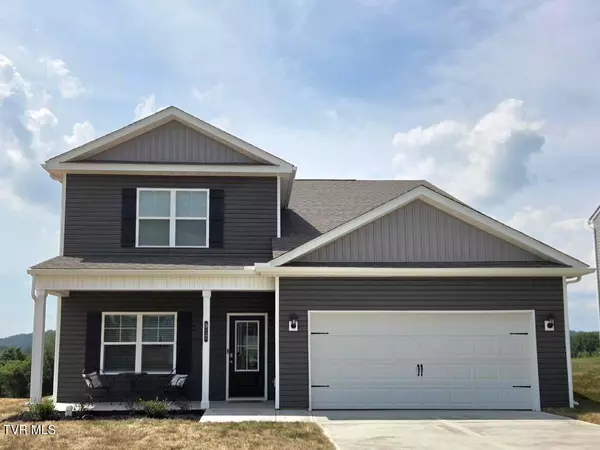 917 O'Hara Court, Blountville, TN 37617