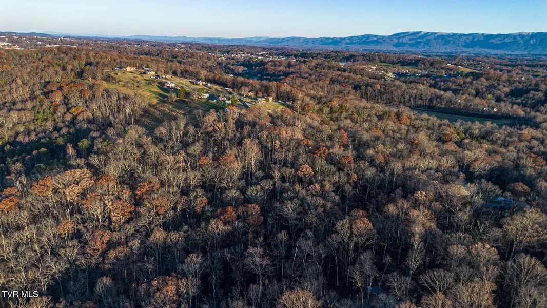 293 Panoramic View DR, Greeneville, TN 37743