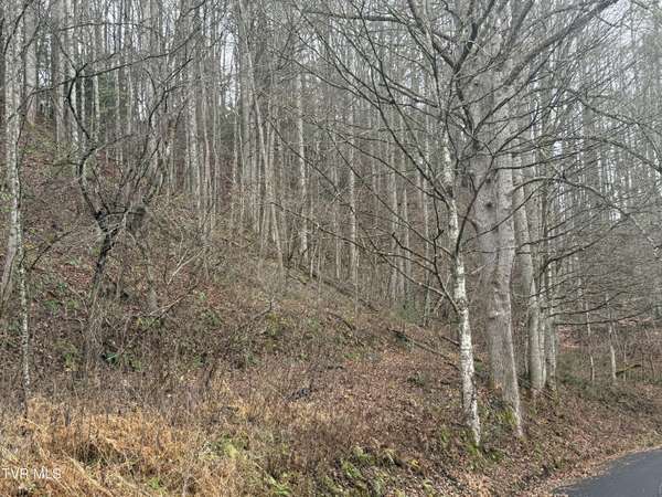 Roan Mountain, TN 37687,Tbd Tiger Creek RD