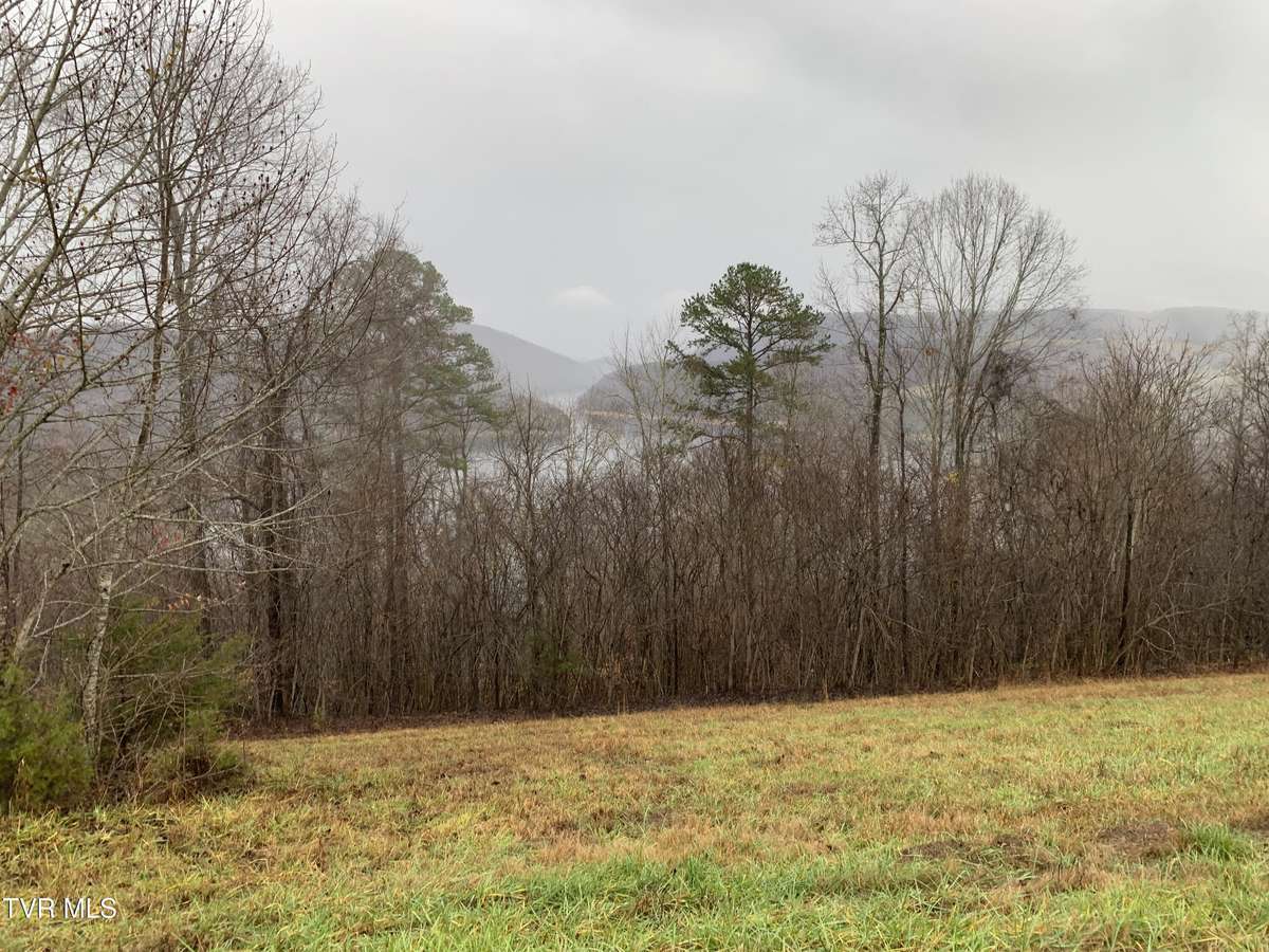 New Tazewell, TN 37825,Lot 321 Sapphire CT