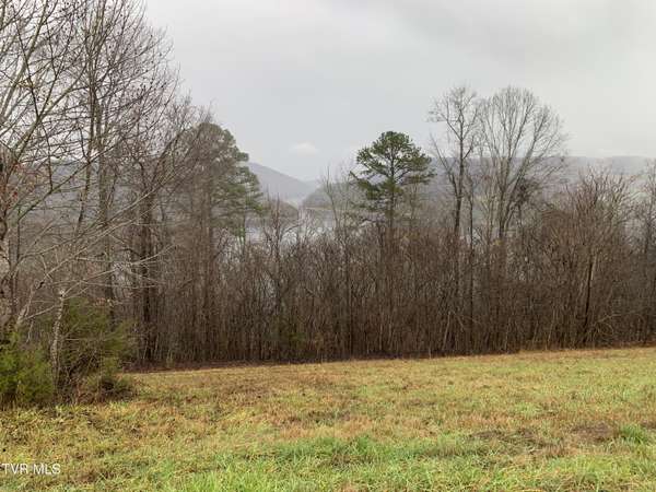 New Tazewell, TN 37825,Lot 321 Sapphire CT