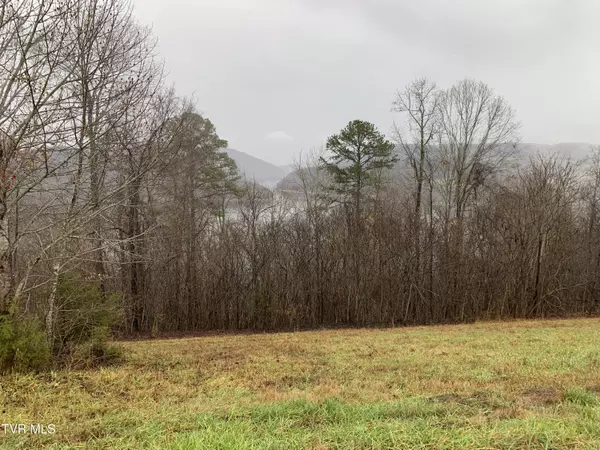 New Tazewell, TN 37825,Lot 321 Sapphire CT