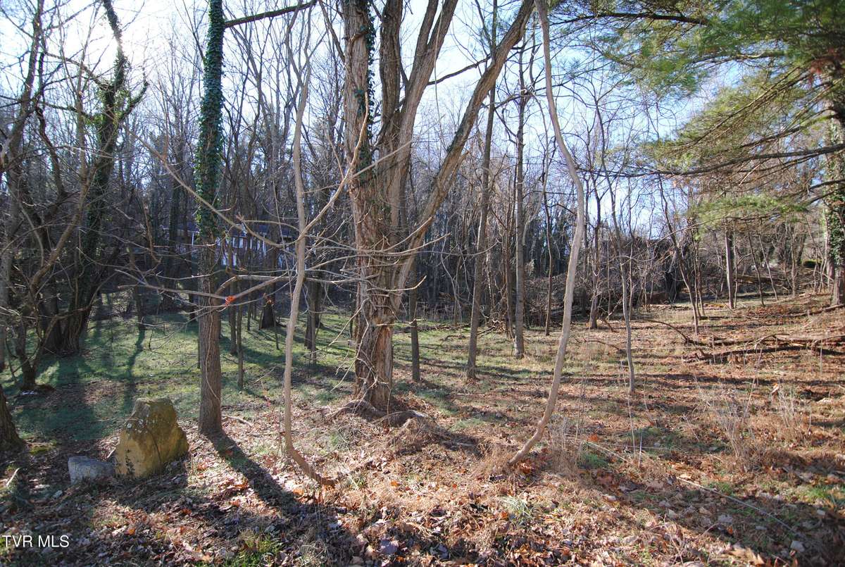 Abingdon, VA 24210,Tbd Oak Hill Estates Lot 2