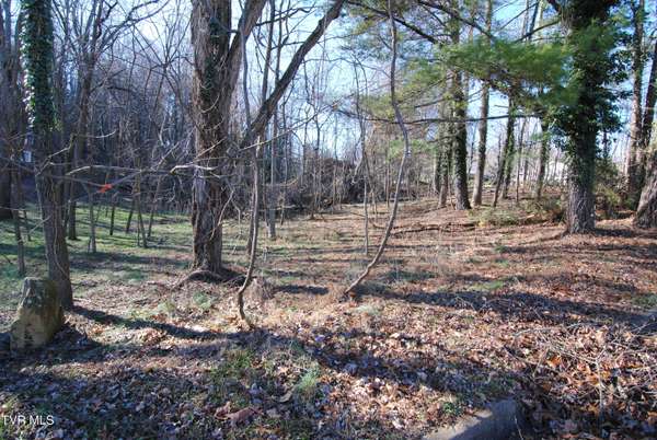 Abingdon, VA 24210,Tbd Oak Hill Estates Lot 2