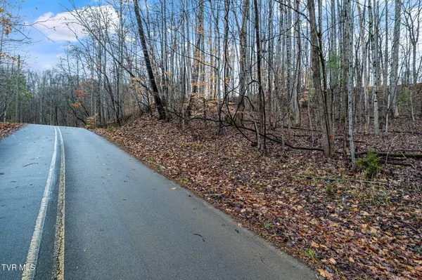 Unicoi, TN 37692,Lot 71 Golf Course RD