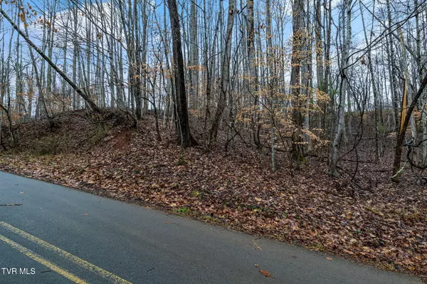 Unicoi, TN 37692,Lot 71 Golf Course RD