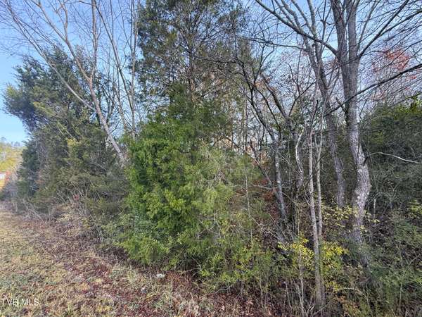 Greenback, TN 37742,1948 Coast Tellico Pkwy