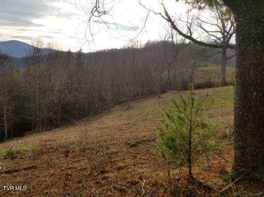 Roan Mountain, TN 37687,Tbd Bear Branch RD