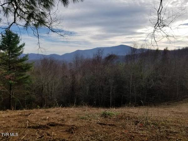 Roan Mountain, TN 37687,Tbd Bear Branch RD