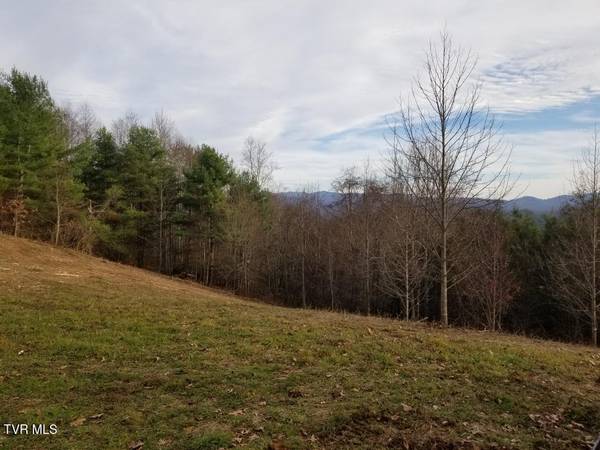 Roan Mountain, TN 37687,Tbd Bear Branch RD