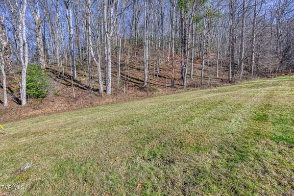 117 Buckner DR, Roan Mountain, TN 37687